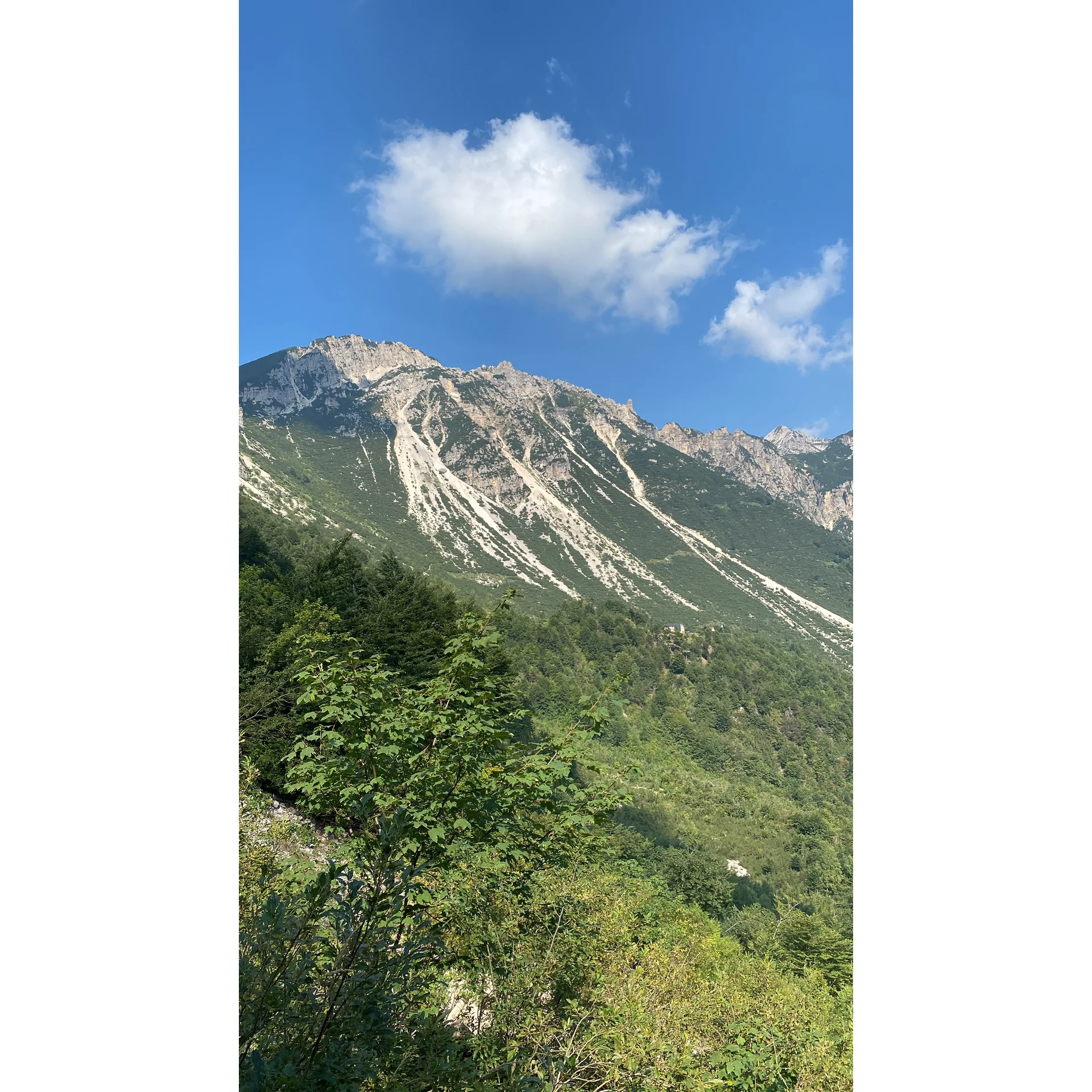 Sentiero dei Grandi Alberi