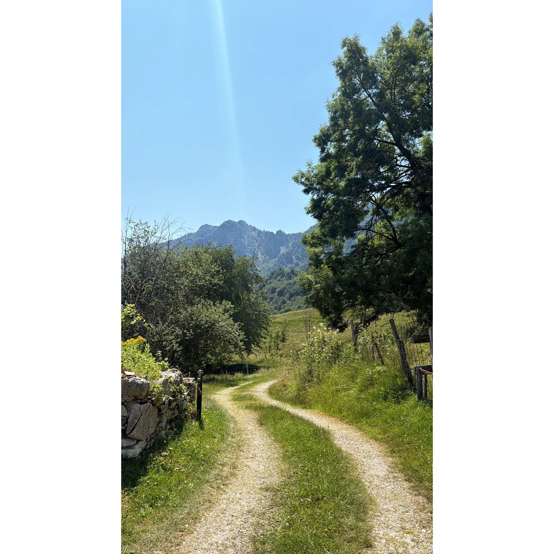 Strada a Recoaro 1000