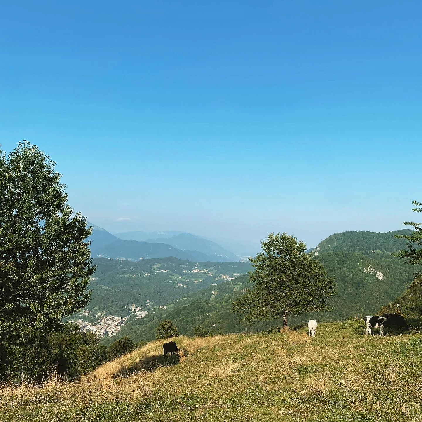 Panorama varso recoaro 1000